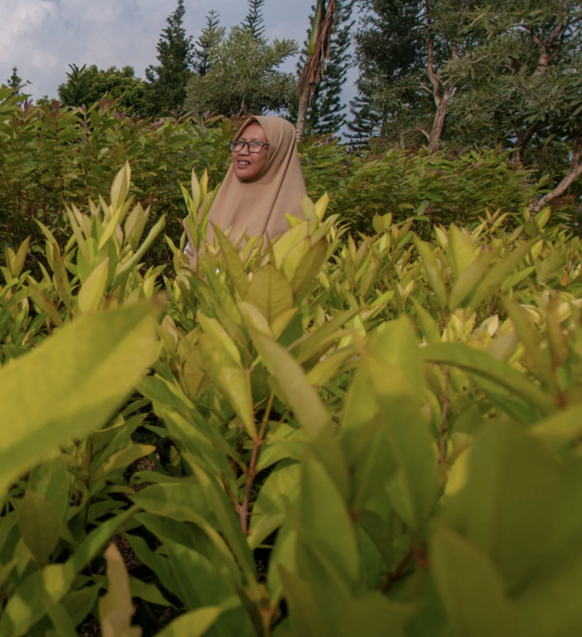 Kickstarting sustainable circular bioeconomies